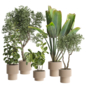 indoor Plant 658 - Комнатные - 3D модель