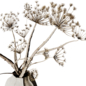 Bouquet R9 - Букеты - 3D модель - фото 3