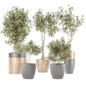 Indoor plant set 013 - Комнатные - 3D модель