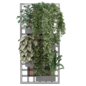 indoor hanging Plants wooden shelf 2211 - Комнатные - 3D модель - фото 2