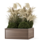 Outdoor Plants Pampas Bush Collection 3781 - Уличные - 3D модель