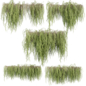 Collection plant vol 651 - ivy - creeper - Уличные - 3D модель
