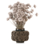 Rose Vase Bouquet Collection Plants_Set 4226 - Букеты - 3D модель