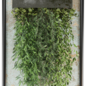 indoor hanging plants in metal shelf 2553 - Комнатные - 3D модель - фото 2