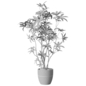 Tall Narrow Leaf Indoor Decorative Tree in Ribbed Pot - Комнатные - 3D модель - фото 5
