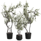 Olive Tree Set 356 - Комнатные - 3D модель