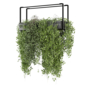 indoor hanging plants in metal box 2637 - Комнатные - 3D модель - фото 2