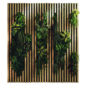 Vertical garden 286 - Фитостены - 3D модель