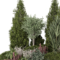 Garden Set Bush and Tree_Garden Set 4500 - Кусты - 3D модель - фото 3