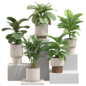 Plant Set 23 - Комнатные - 3D модель