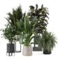 Indoor Plants Rusty Concrete Pot_Set 4676 - Комнатные - 3D модель