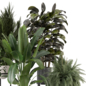 Indoor Plants Rusty Concrete Pot_Set 4676 - Комнатные - 3D модель - фото 4