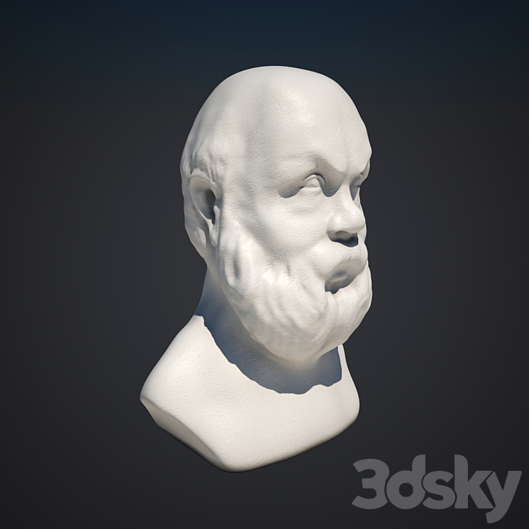 Сократ 3д модель. Сократ 3д. Сократ 3d модель.