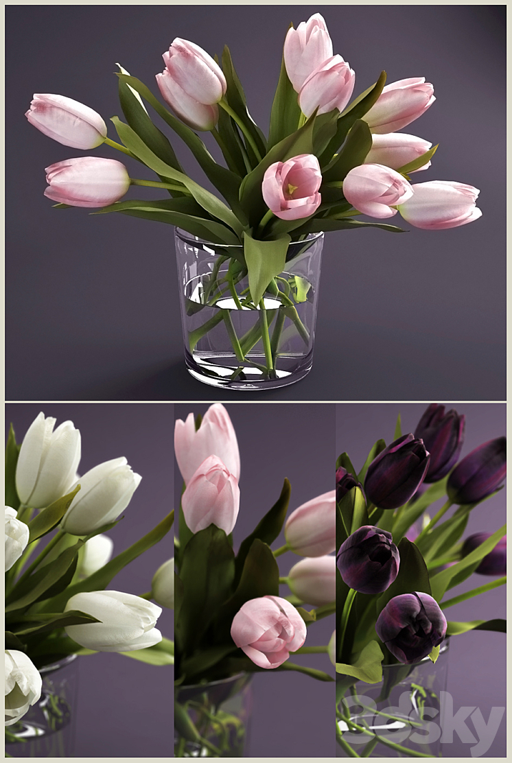 Bouquet of tulips 3DS Max - thumbnail 1