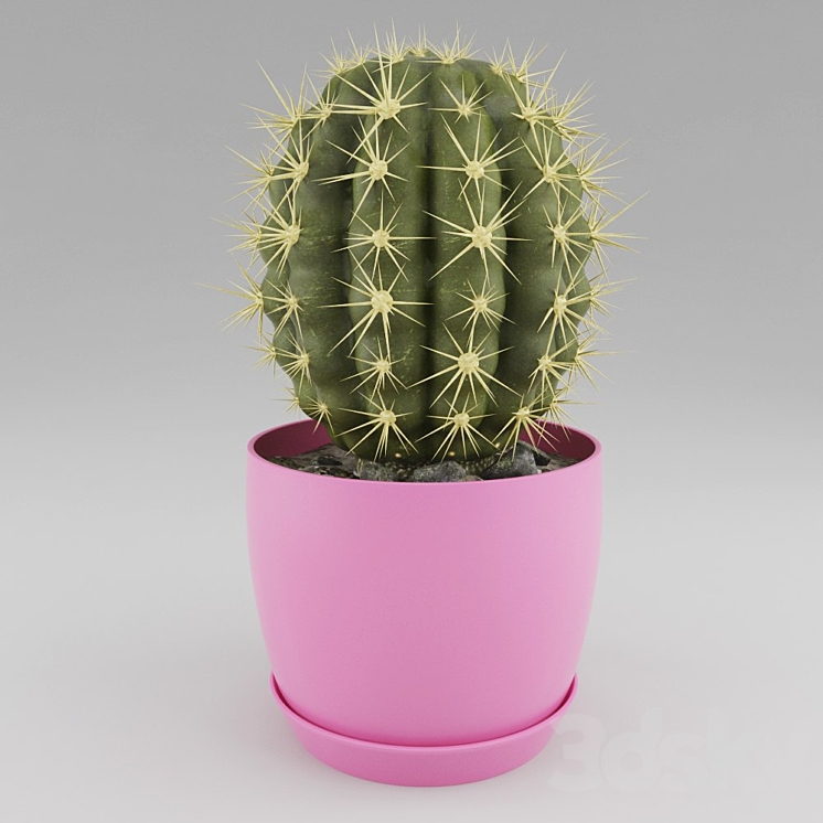 Cactus 3DS Max - thumbnail 1