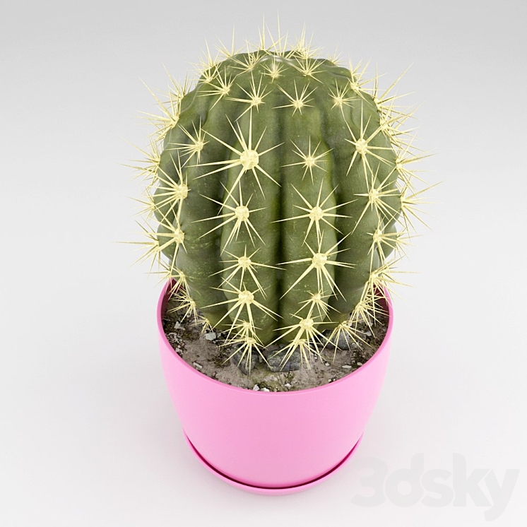 Cactus 3DS Max - thumbnail 2