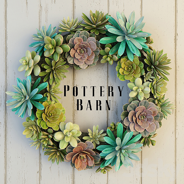 Pottery Barn Succulent Wreath 3DS Max - thumbnail 1