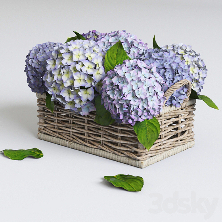 Hydrangea in basket 3DS Max - thumbnail 1