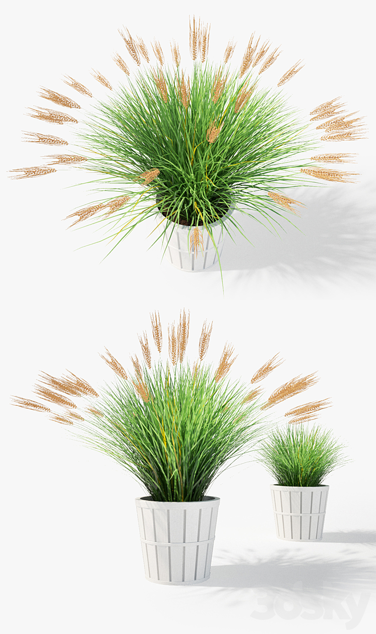 IKEA Kalasa Plant Pot and Little Barley 3D Model