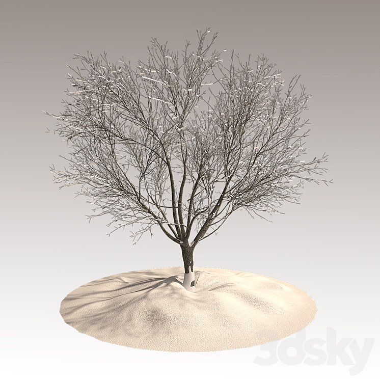 Tree in winter 3DS Max - thumbnail 1