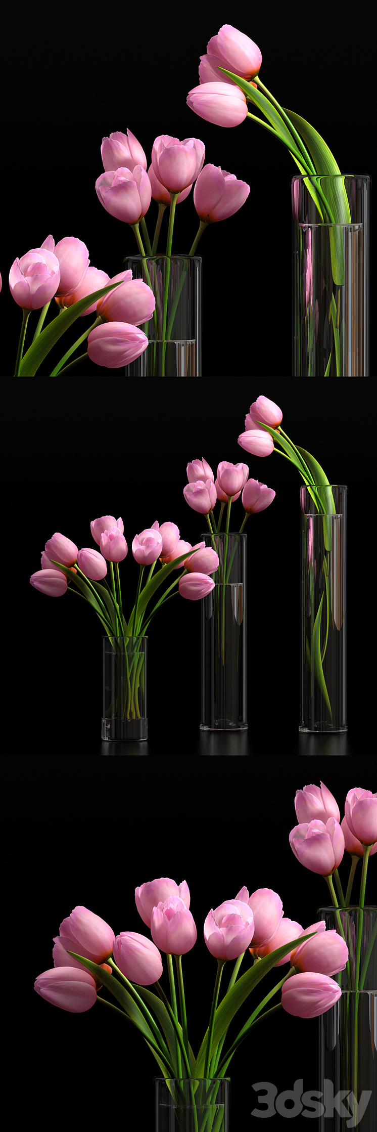 TULIP 5