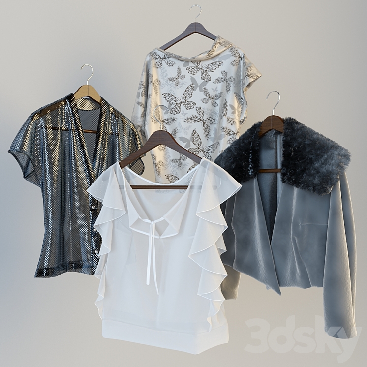Clothes on hangers 3D Model