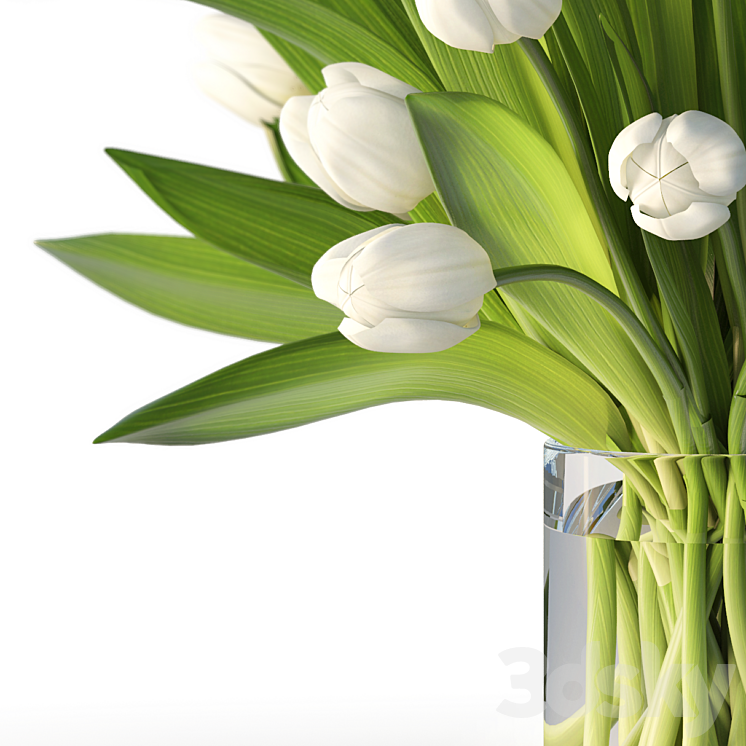 Tulips 3DS Max - thumbnail 2