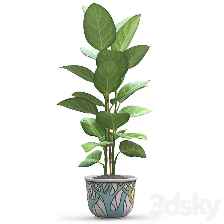 Andre Ficus 3DS Max - thumbnail 1