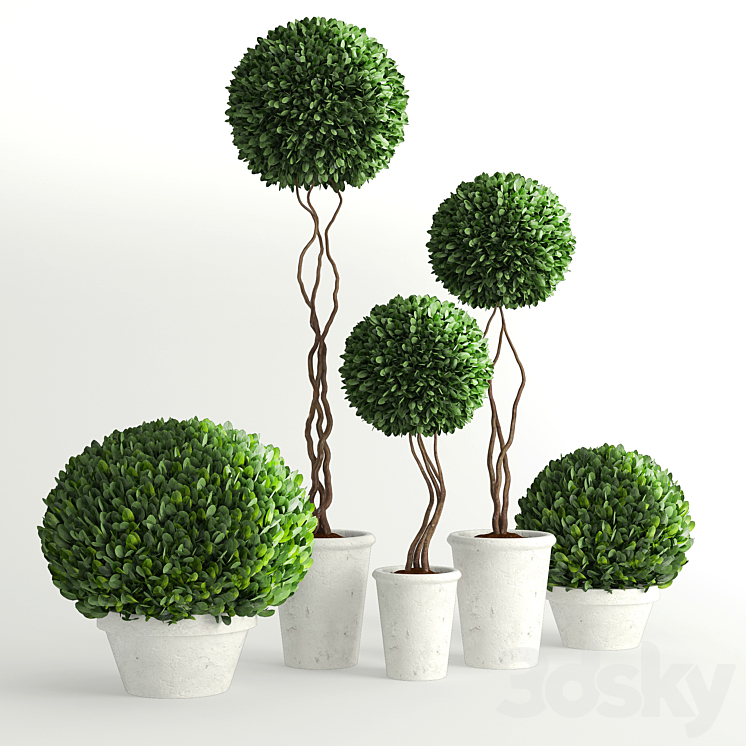 Collection of Plants 2 3DS Max - thumbnail 1