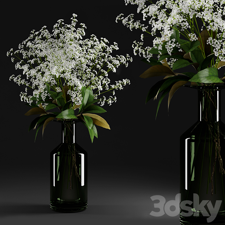 Gypsophila and magnolia leaves in bottle 3DS Max - thumbnail 1