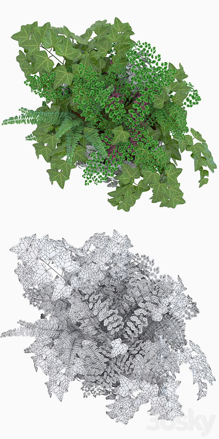 Herbal composition vol1 3D Model