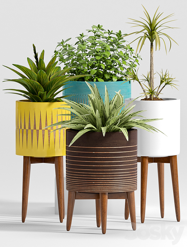 Plant Set -24 3D Model