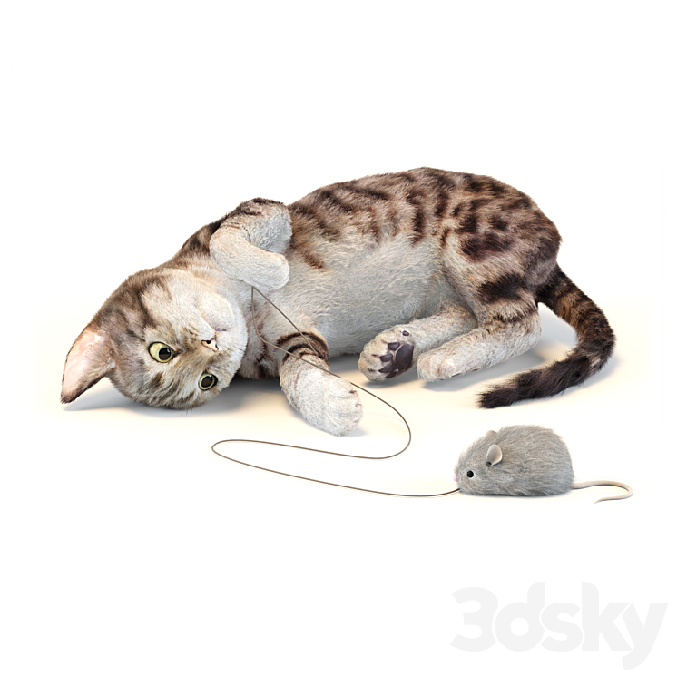Kitten in two color options 3DS Max - thumbnail 1