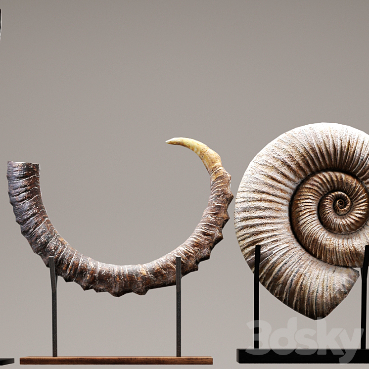 collection of 20 statues figurine wooden eco design set collection decor mega set ammonite shell fossil figurine decor tusk horn 3D Model