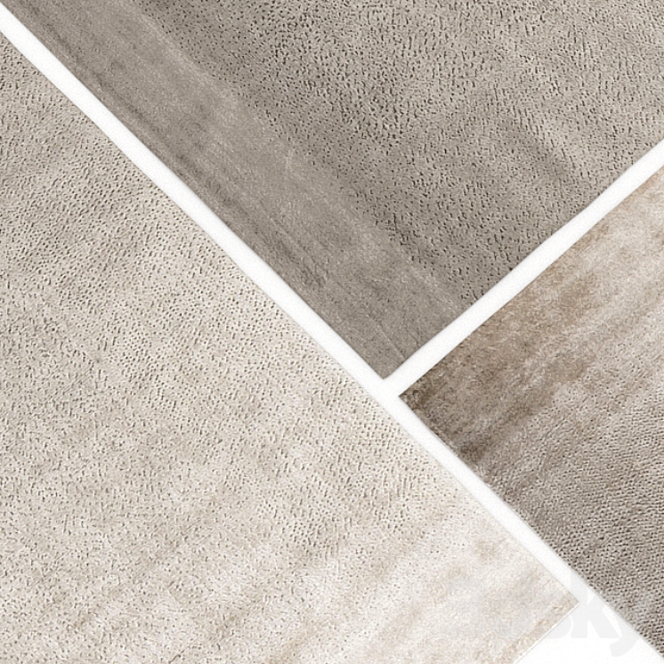 Carpet Molteni & C Random Artic Rug 3D Model