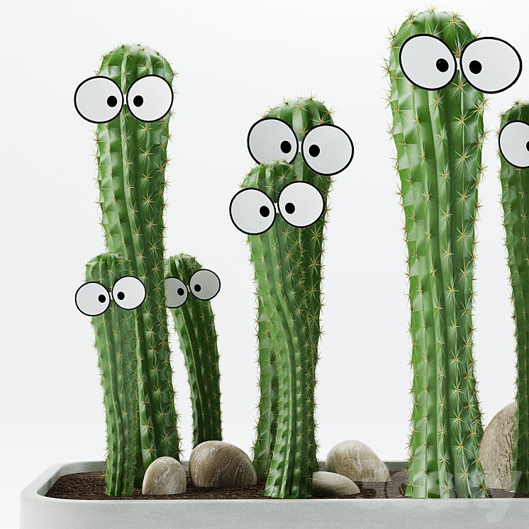 Cactus with eyes 3D Model