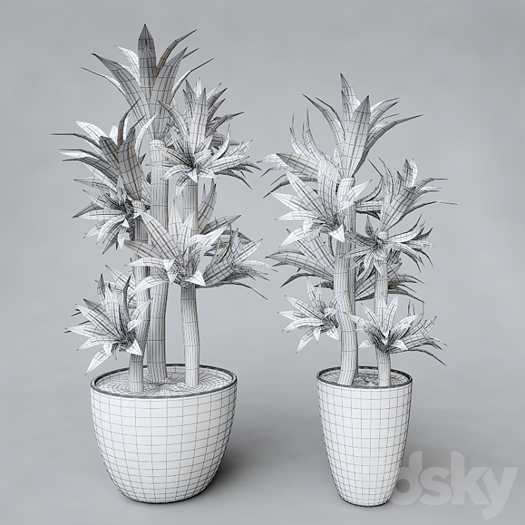Potted plant 3DS Max - thumbnail 2