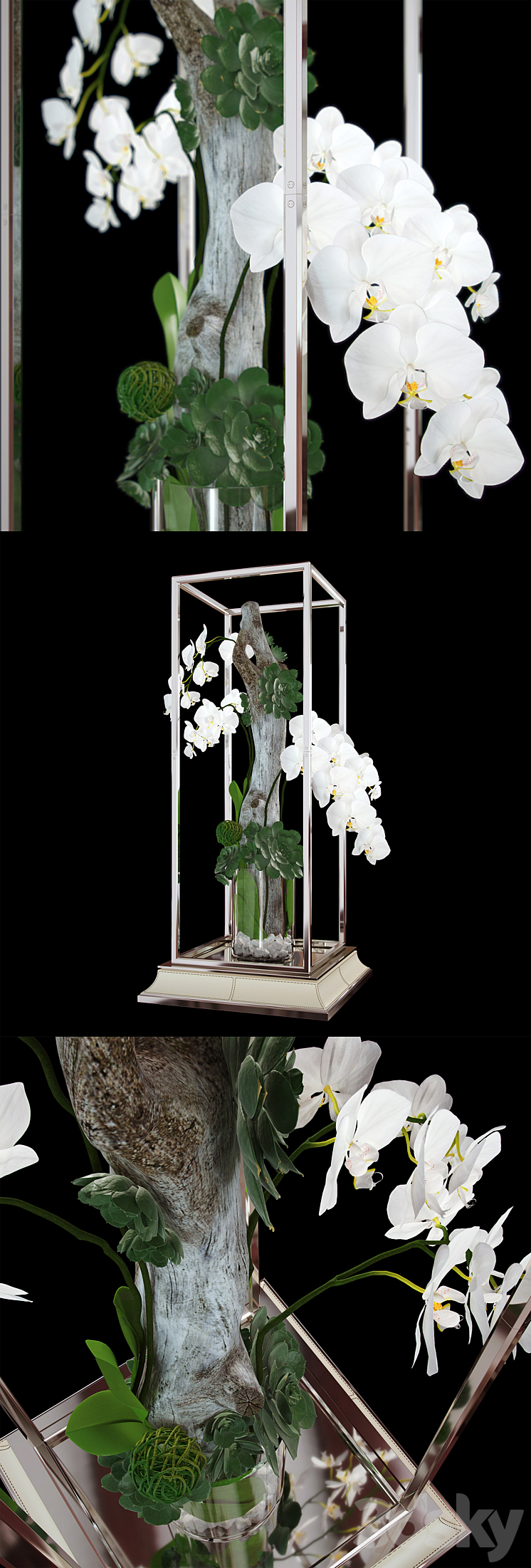 Orchid ART EDGE 3D Model