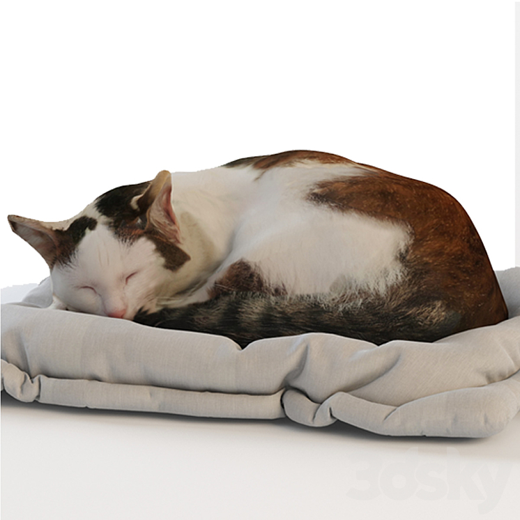Cat 3D Model