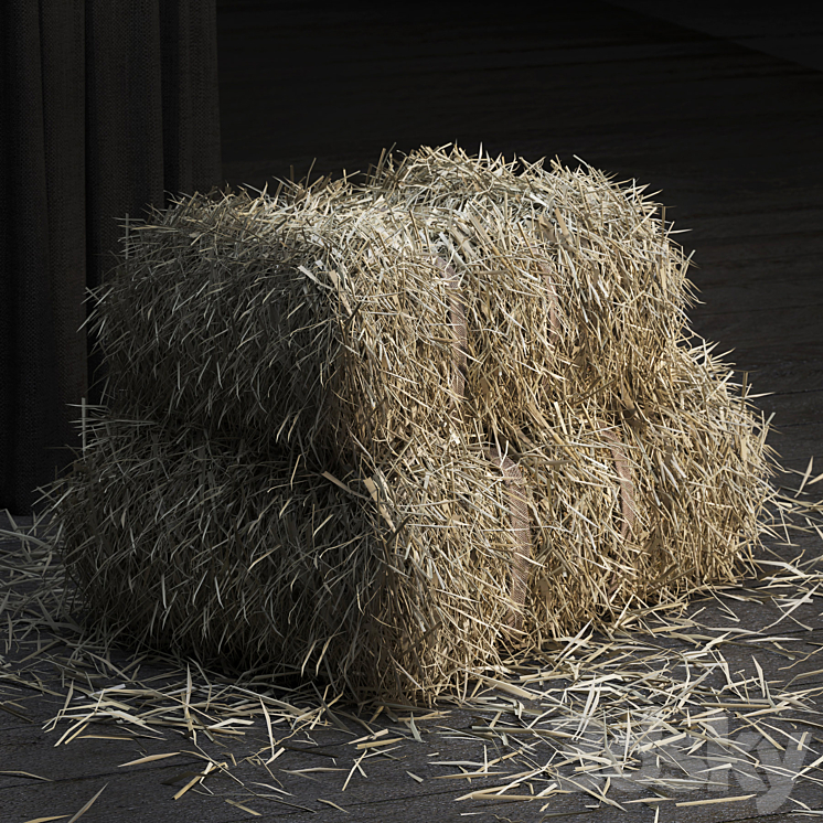 Straw bale (GEOMETRY + SCATTER) 3DS Max - thumbnail 2