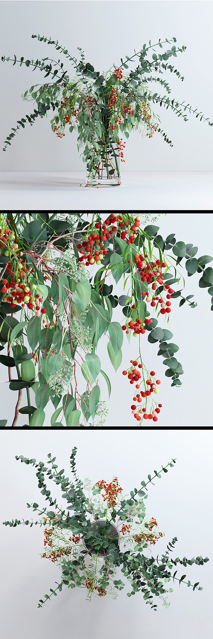 Pepperberries and Eucalyptuses 3DS Max - thumbnail 2