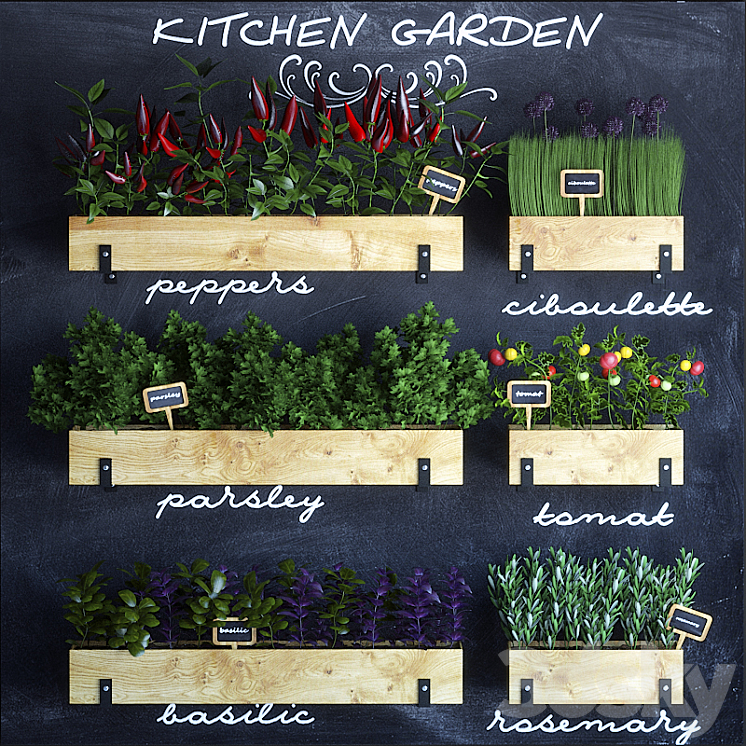 Kitchen garden 3DS Max - thumbnail 1