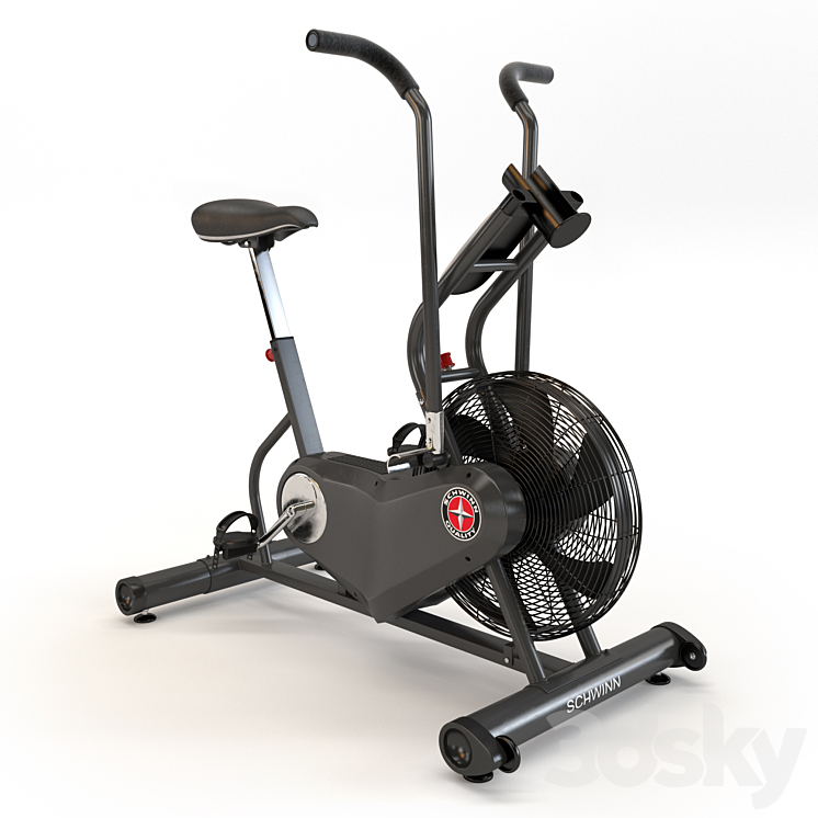 Schwinn Airdune 3D Model