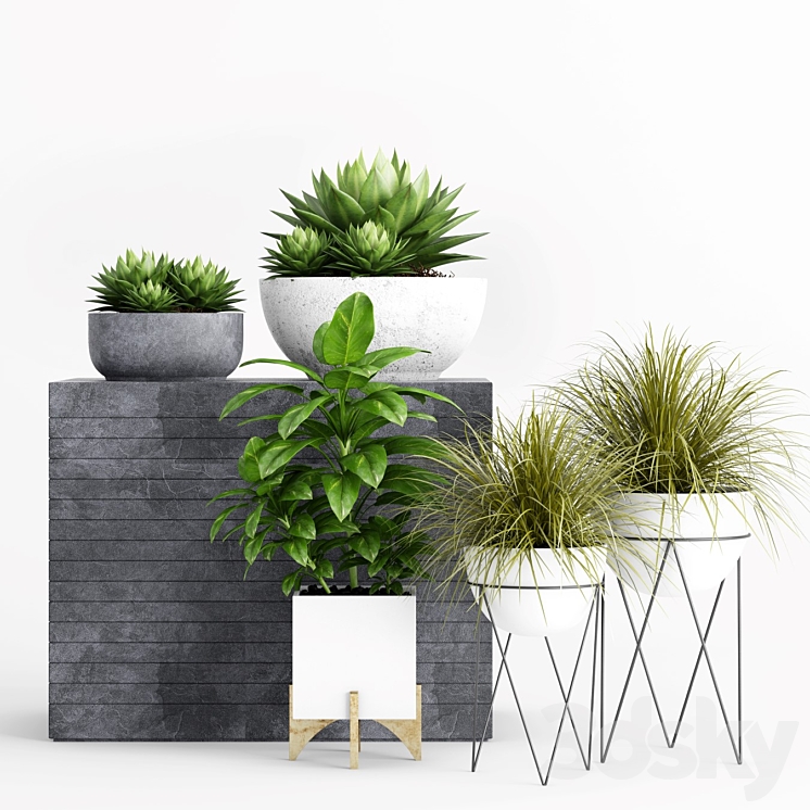 Plants and Planters _1 3DS Max - thumbnail 1