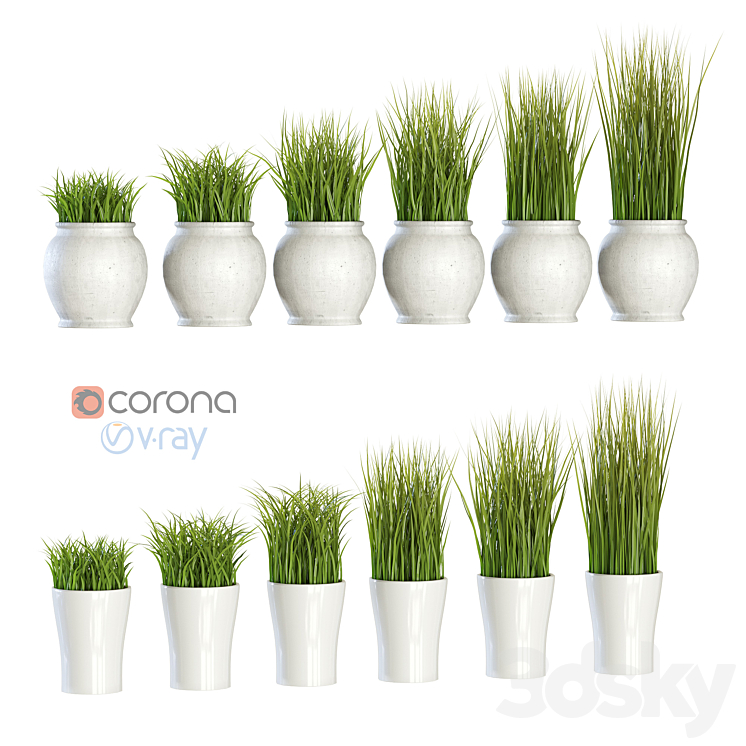 Grass in pots 3DS Max - thumbnail 1