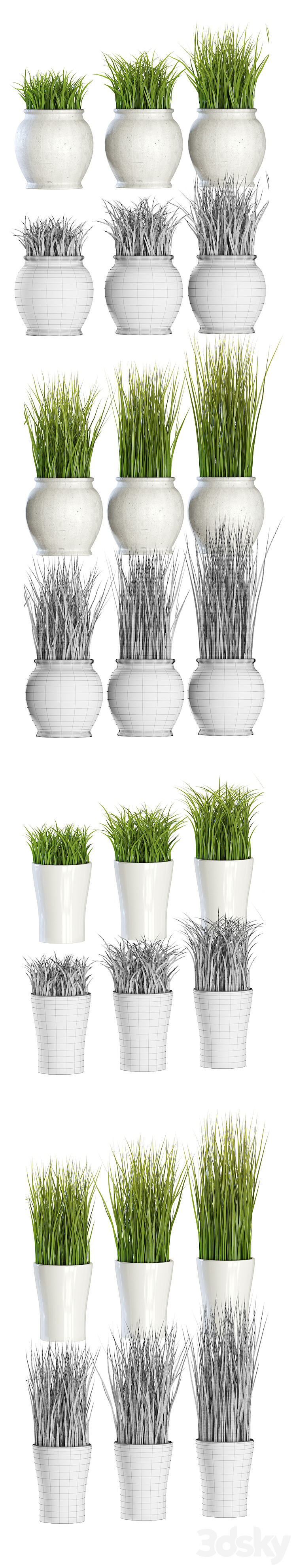 Grass in pots 3DS Max - thumbnail 2