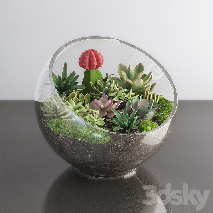 Succulents in glass bowl 3DS Max - thumbnail 1