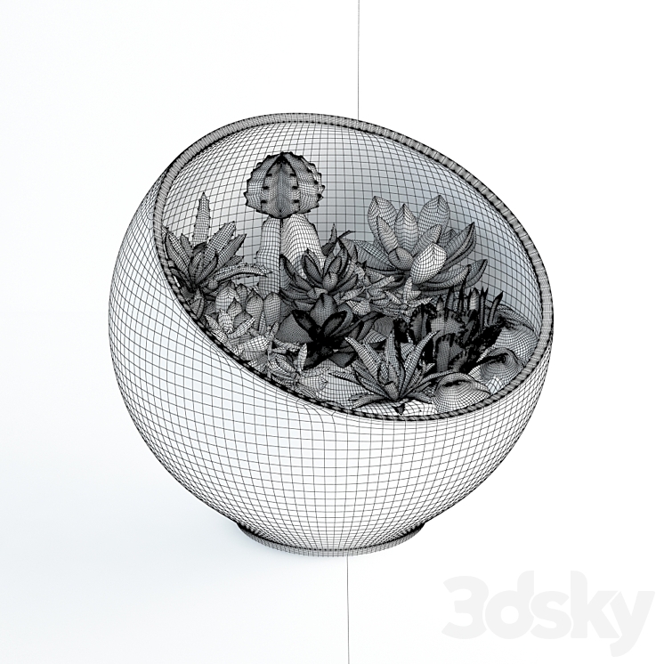 Succulents in glass bowl 3DS Max - thumbnail 2