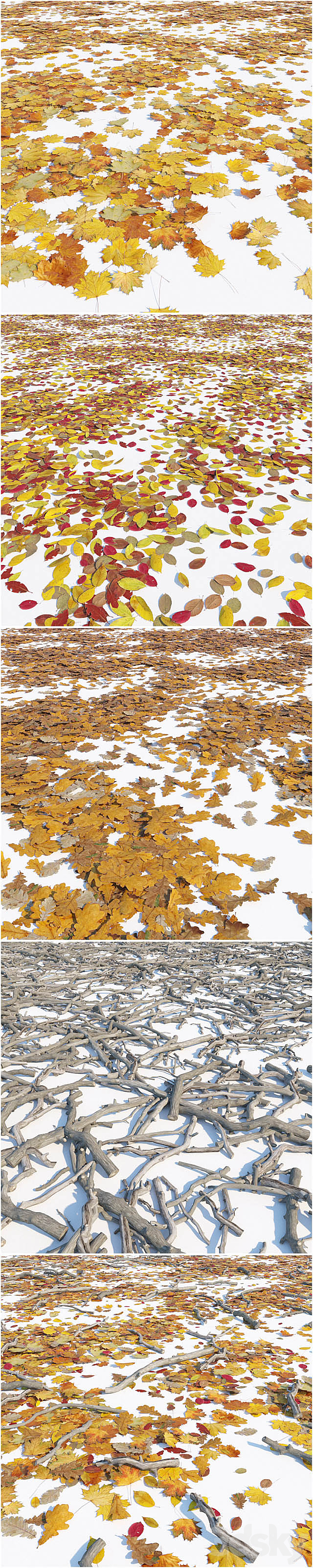 Set of dry leaves and twigs 3D Model