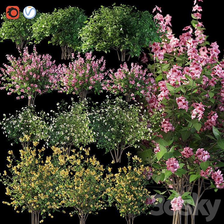 Set flowering shrubs 4 3DS Max - thumbnail 1